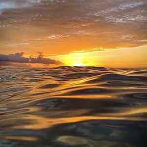 Meet your Posher, Viannie